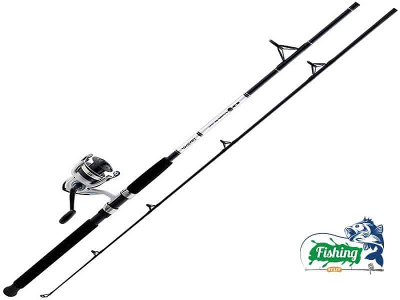 Daiwa D-Wave Saltwater Spinning Combo