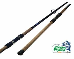 Best surf fishing rods amazing collection are available in 2025