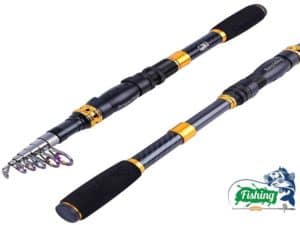 Best surf fishing rods amazing collection are available in 2025