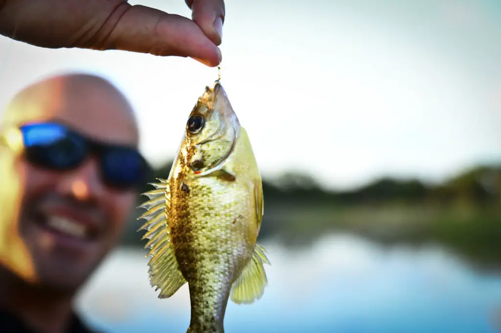 WHAT YOU CAN LEARN FROM TONY ABOUT TOP 10 FISHING INSTRUCTOR