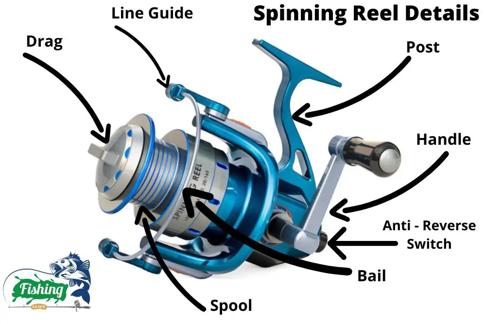 Spinning Reel Details