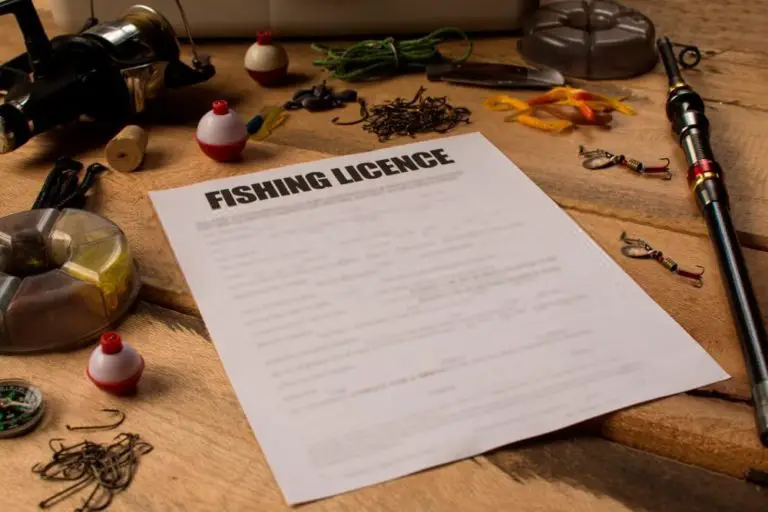 Fine for fishing without a license