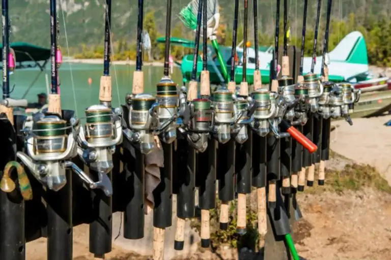 How to Store Fishing Rods?