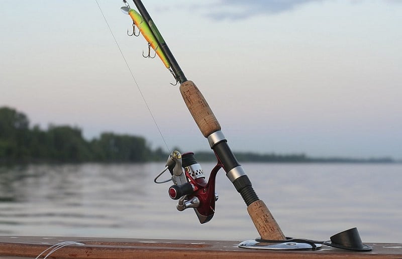 Top 5 Most Expensive Fishing Rods in 2020