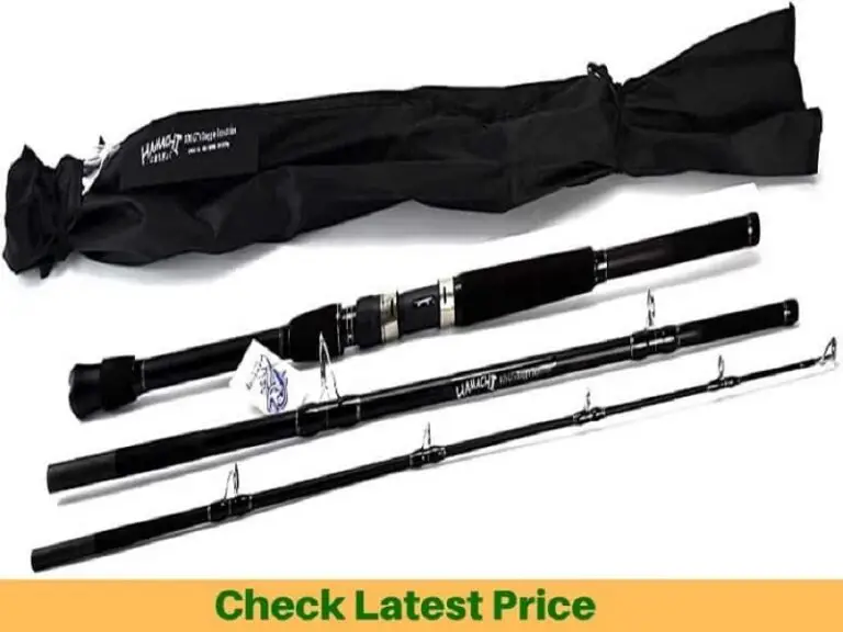 Most Expensive Fishing Rods in the World Insane Prices!