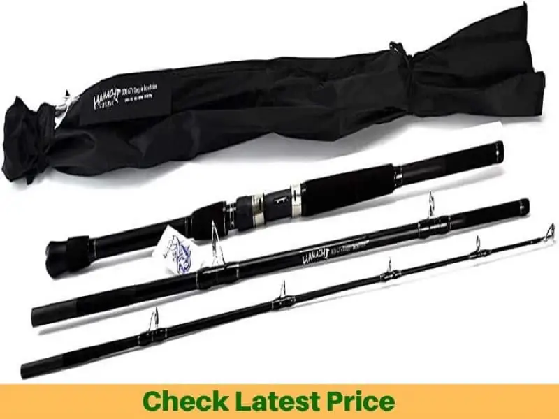 Top 5 Most Expensive Fishing Rods in 2021