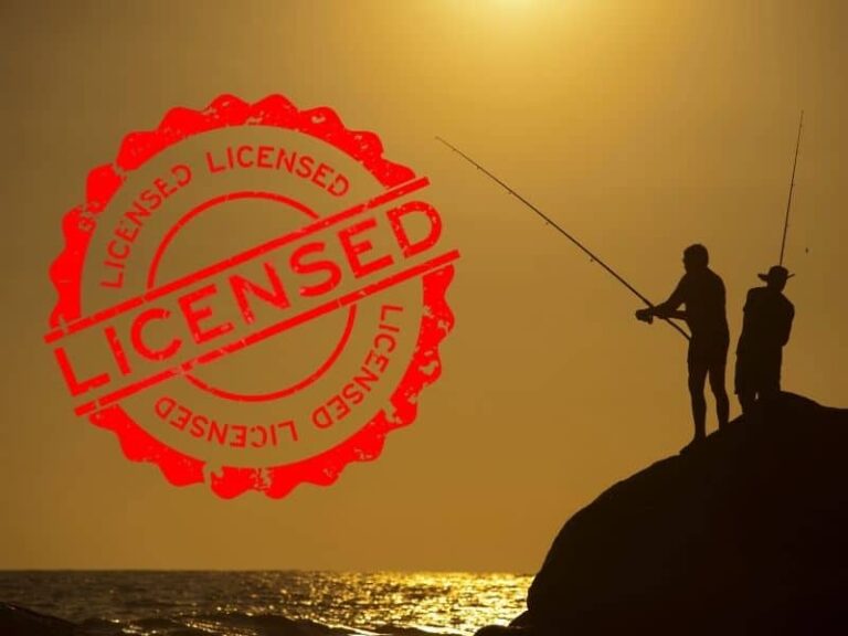 New Mexico fishing license