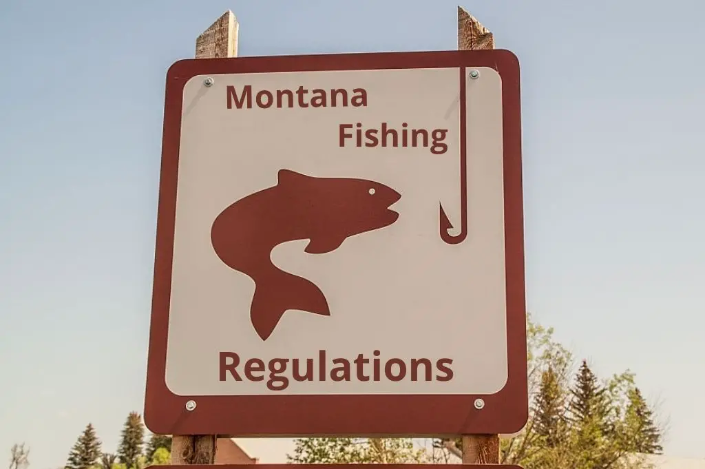 Montana fishing regulations