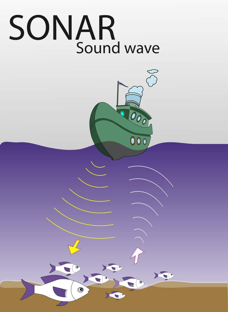 Sonar Sound Wave 