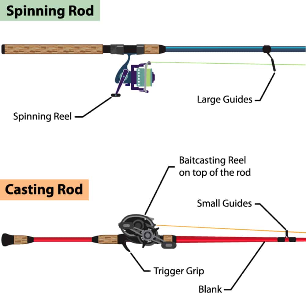 Spinning vs Casting Reel – What’s the Difference?