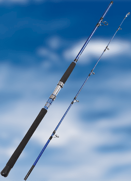 Fiblink 2-Piece Saltwater Spinning Fishing Rod
