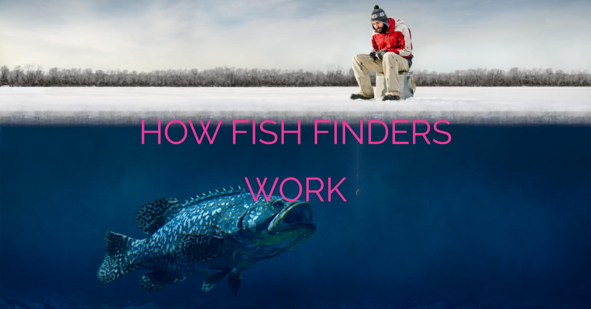 How Does A Fish Finder Work?