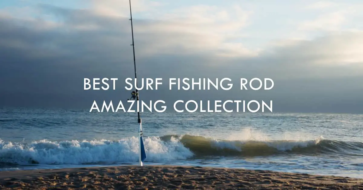 Best Surf Fishing Rod