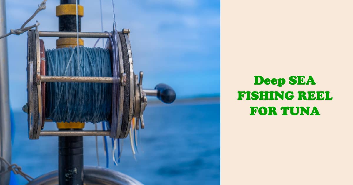 Deep Sea Fishing Reels for Tuna
