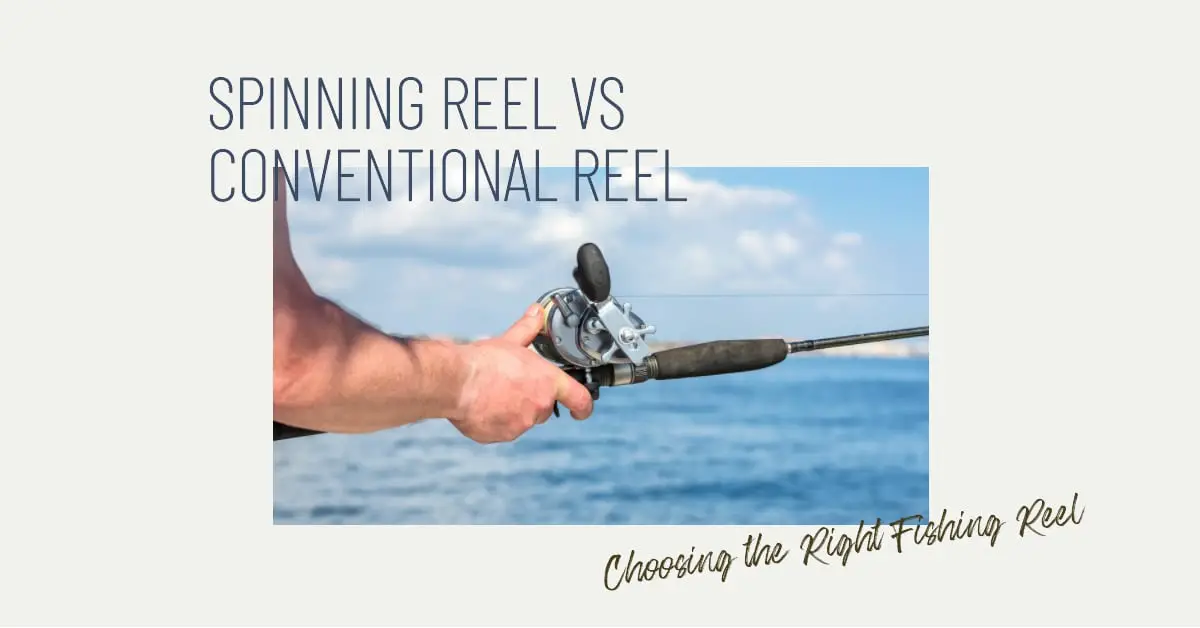 Spinning vs Conventional Reels