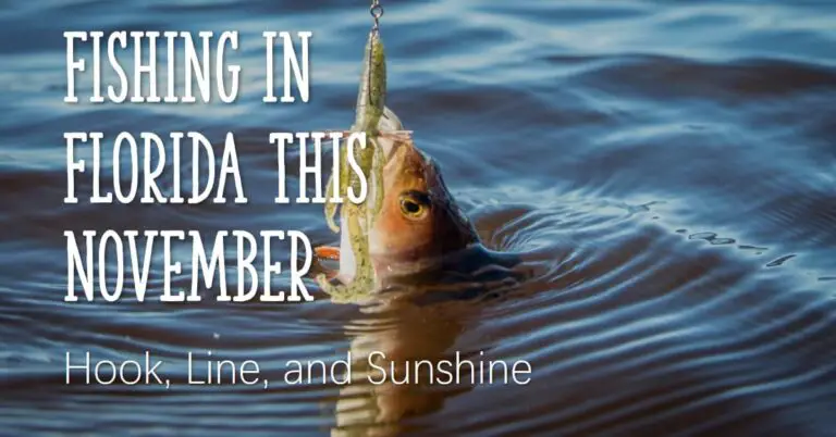 Fishing Florida in November