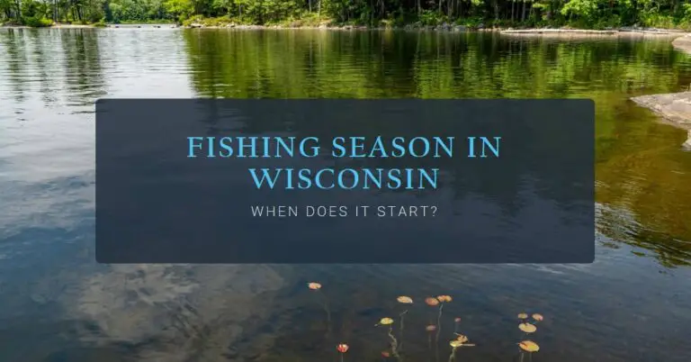 When Does Fishing Season Start in Wisconsin