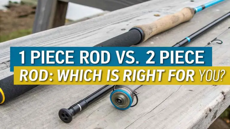 One Piece Rod vs 2 Piece Rod: The Ultimate Fishing Forum Guide to Choosing Your Perfect Setup