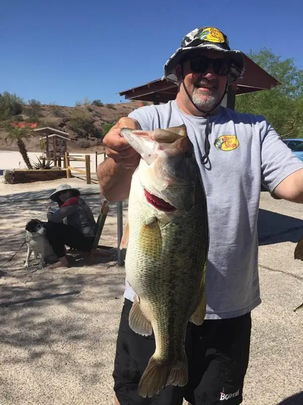 Lake Havasu Fishing License