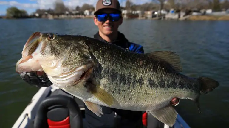Clear Lake Bass Fishing
