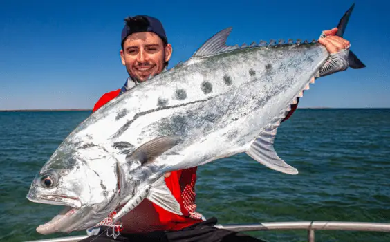 King George Whiting Fishing Perth