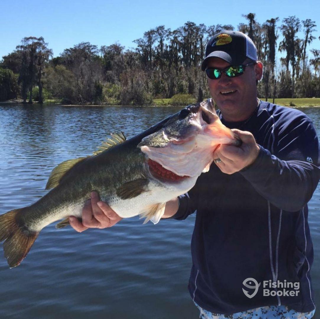 Lake Kissimmee Bass Fishing
