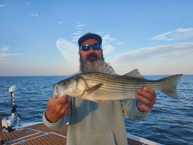 Striped Bass Fishing Chesapeake Bay