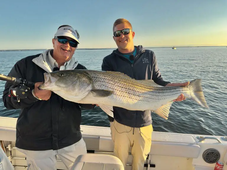 Striped Bass Fishing Long Island