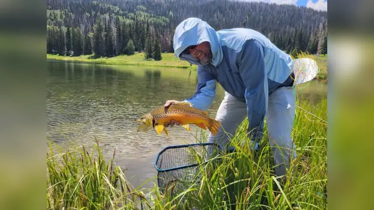 Best Fly Fishing in Utah