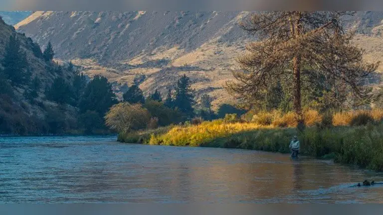 Fly Fishing Deschutes River Oregon