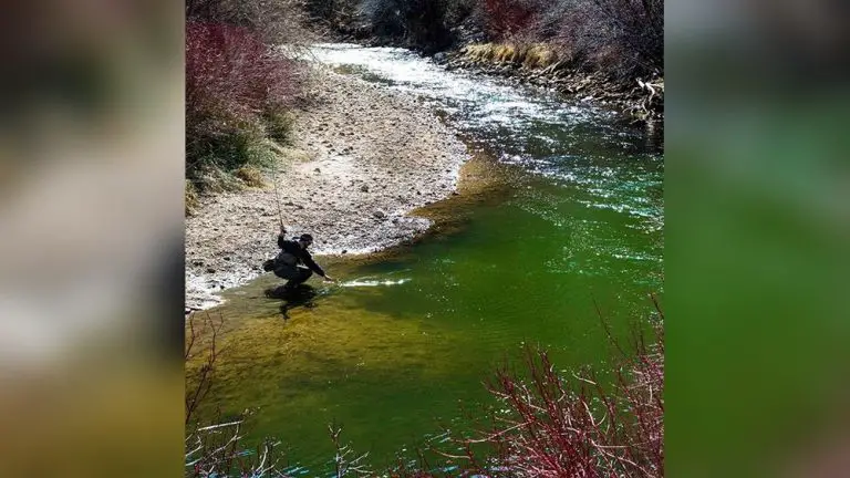 Fly Fishing Weber River Utah
