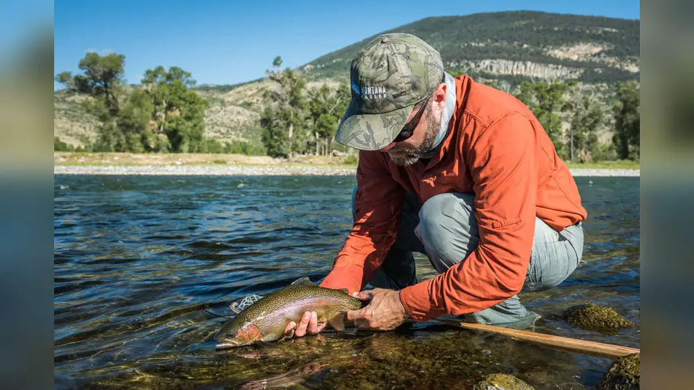 Fly Fishing Yellowstone River