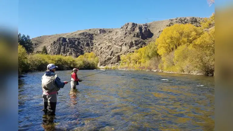 Gunnison River Colorado Fly Fishing