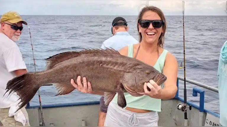 Best Time for Offshore Fishing