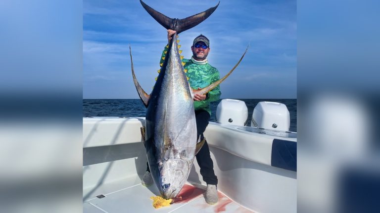 Fishing Charters Gulf of Mexico