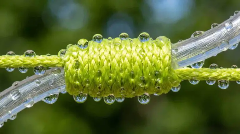 Braided Line Leader Connection Knot