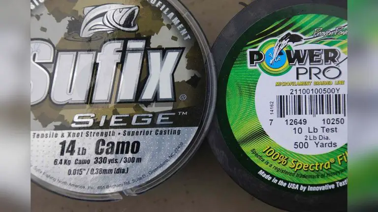 What Pound Test Fishing Line Should I Use