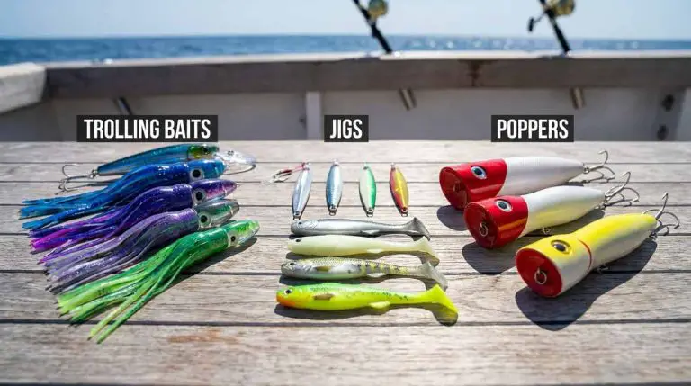 Best Offshore Fishing Lures
